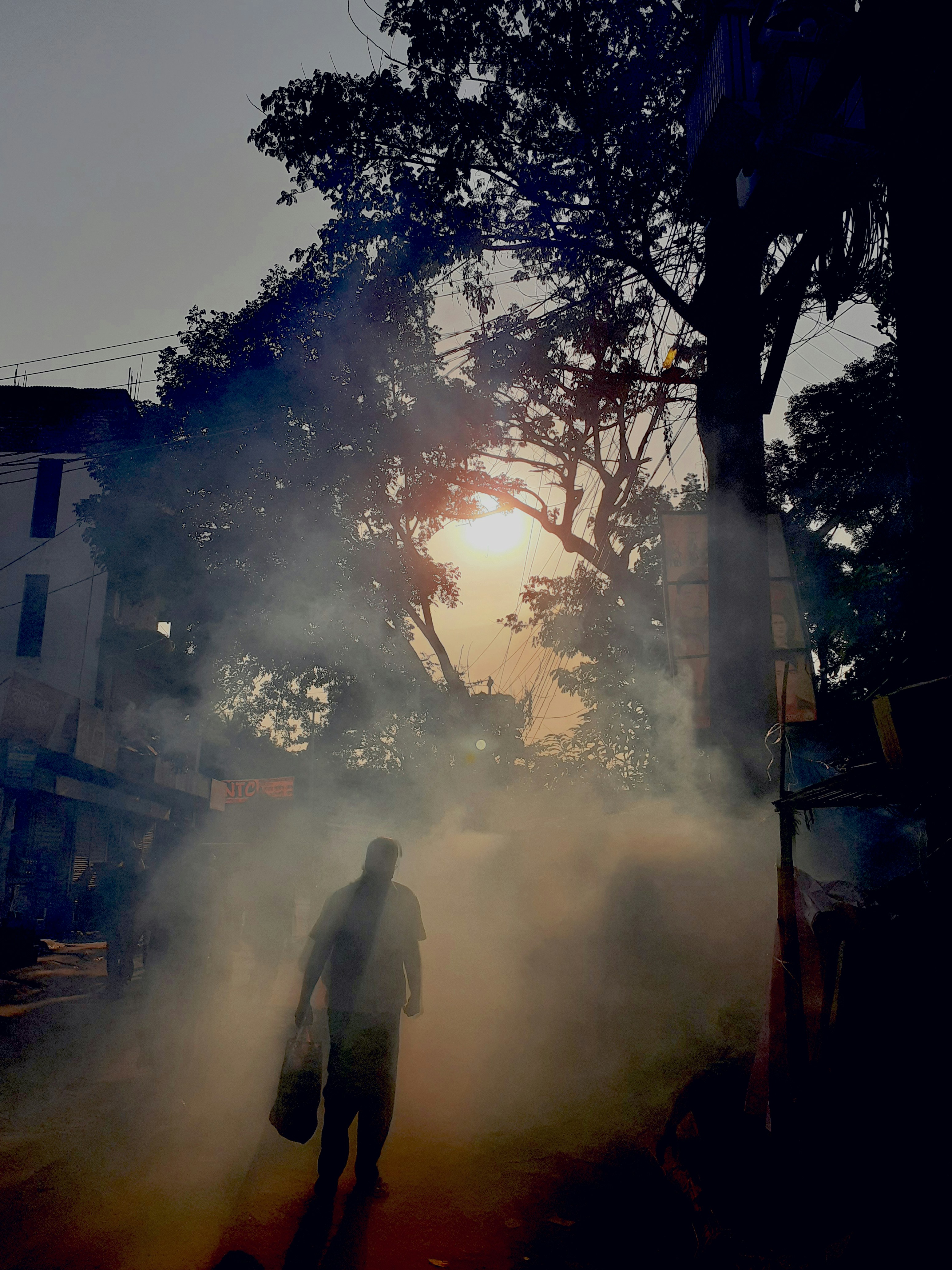 Vector Control Services